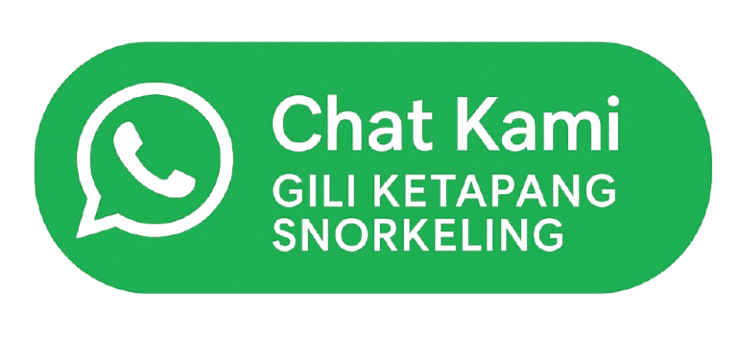 WhatsApp Logo